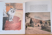 Bok - Kaptenens katt